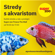 stredy_s_akvaristom_fb_ig.png