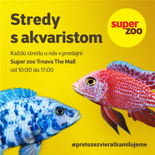 stredy_s_akvaristom_fb_ig