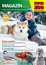 sz_magazin_jan-feb_2019_web_page_01.jpg