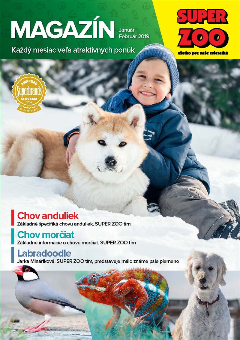 sz_magazin_jan-feb_2019_web_page_01